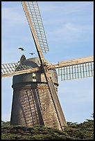 Dutch Mill. San Francisco, California, USA (color)
