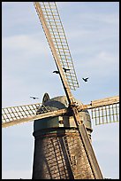 Crows and Dutch Mill. San Francisco, California, USA (color)