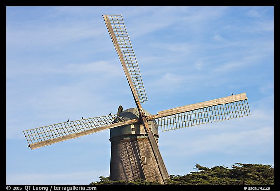 Dutch Mill and crows. San Francisco, California, USA