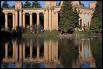 Colonades and reflection, Palace of Fine Arts, morning. San Francisco, California, USA