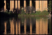 Reflection of colonade, Palace of Fine Arts, morning. San Francisco, California, USA ( color)