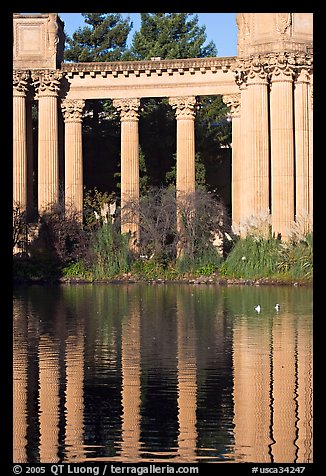 Colons and reflection, Palace of Fine Arts, morning. San Francisco, California, USA