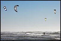 Multitude of kite surfing wings, afternoon. San Francisco, California, USA ( color)