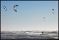 Multitude of kite surfing wings, afternoon. San Francisco, California, USA