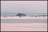 Harbor in Richardson Bay and city skyline painted in pink hues at sunset. San Francisco, California, USA (color)