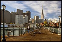 Pier seven and skyline, morning. San Francisco, California, USA ( color)