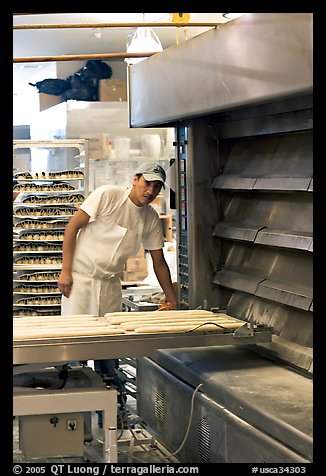 Baker loading loafs of bread into oven. San Francisco, California, USA (color)
