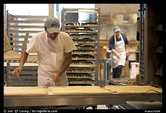 Baker hand-coating lofs of bread. San Francisco, California, USA (color)