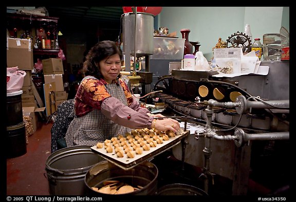 Fortune cookie factory on Ross Alley, Chinatown. San Francisco, California, USA