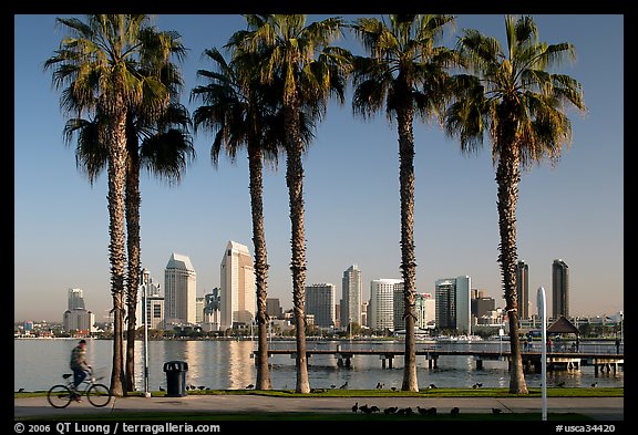 Bicyclist, palm trees and skyline, Coronado. San Diego, California, USA