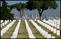 Rows of white gravestones and San Diego skyline, Point Loma. San Diego, California, USA