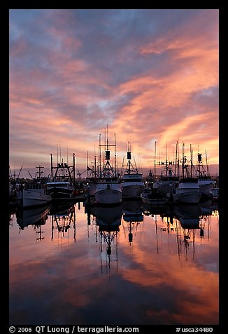 Fishing fleet at sunset. San Diego, California, USA (color)