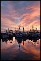 Fishing fleet at sunset. San Diego, California, USA (color)