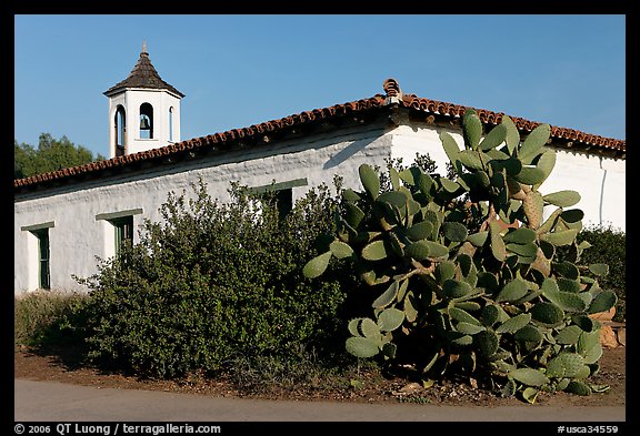 Cactus and adobe house, Old Town State Historic Park. San Diego, California, USA (color)