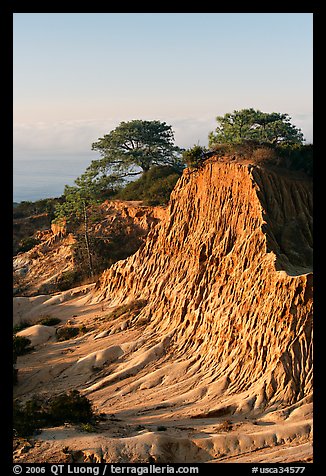 Broken Hill and Torrey Pines, sunrise, Torrey Pines State Preserve. La Jolla, San Diego, California, USA