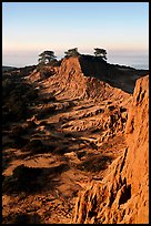 Steep weathered sandstone cliffs, Torrey Pines State Preserve. La Jolla, San Diego, California, USA (color)