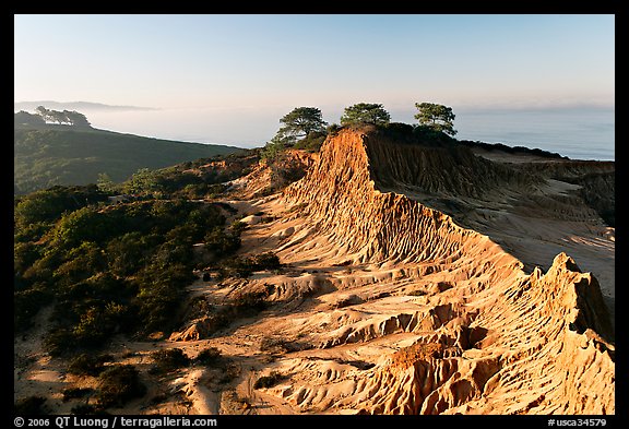 Eroded sandstone cliffs of Broken Hill,  Torrey Pines State Preserve. La Jolla, San Diego, California, USA (color)