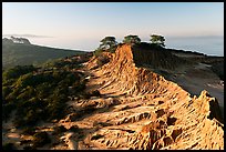 Eroded sandstone cliffs of Broken Hill,  Torrey Pines State Preserve. La Jolla, San Diego, California, USA (color)