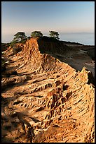 Eroded sandstone promontory,  Torrey Pines State Preserve. La Jolla, San Diego, California, USA (color)