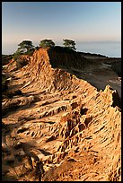 Eroded sandstone promontory,  Torrey Pines State Preserve. La Jolla, San Diego, California, USA