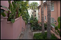 Narrow Alley. La Jolla, San Diego, California, USA (color)