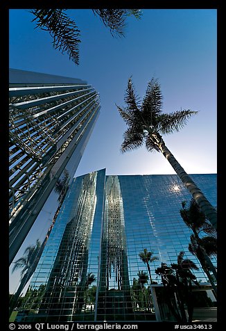 Looking upwards the Crystal Cathedral, with sun shining through the building. Garden Grove, Orange County, California, USA (color)