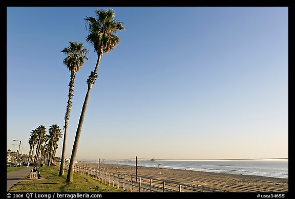 Tall palm trees, waterfront promenade, and beach. Huntington Beach, Orange County, California, USA