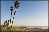 Tall palm trees, waterfront promenade, and beach. Huntington Beach, Orange County, California, USA (color)