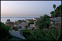 Villas and mediterranean vegetation at dawn. Laguna Beach, Orange County, California, USA (color)