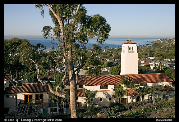 Eucalyptus tree and church. Laguna Beach, Orange County, California, USA