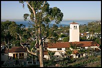 Eucalyptus tree and church. Laguna Beach, Orange County, California, USA ( color)