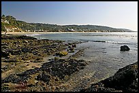 Tidepools and Main Beach, mid-day. Laguna Beach, Orange County, California, USA ( color)