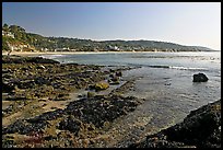 Tidepools and Main Beach, mid-day. Laguna Beach, Orange County, California, USA