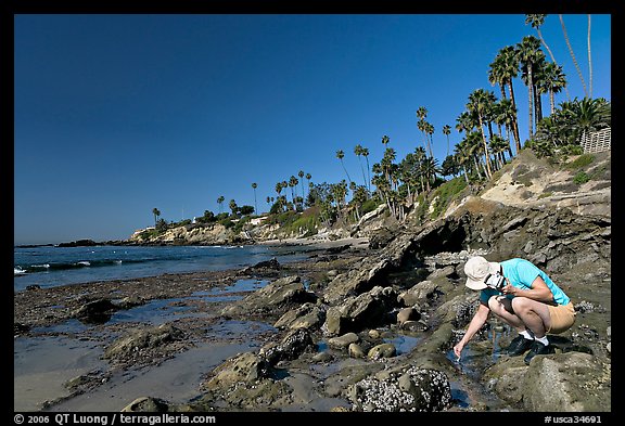 Women checking out a tidepool. Laguna Beach, Orange County, California, USA (color)