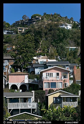 Houses on verdant hillside. Laguna Beach, Orange County, California, USA