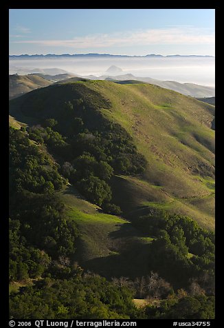 Hills, with coasline and Morro rock in the distance. Morro Bay, USA