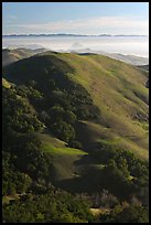 Hills, with coasline and Morro rock in the distance. California, USA (color)