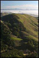 Hills, with coasline and Morro rock in the distance. Morro Bay, USA ( color)