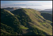 Green hills, with cost in the distance. California, USA (color)