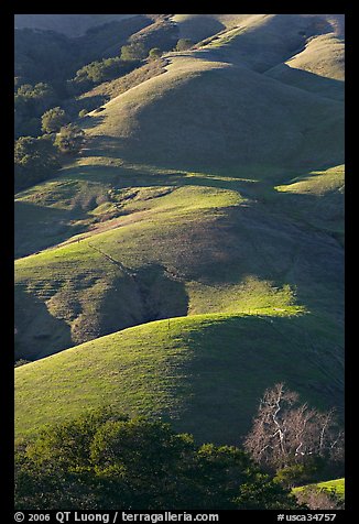 Emerald hills. Morro Bay, USA (color)