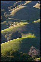 Emerald hills. Morro Bay, USA