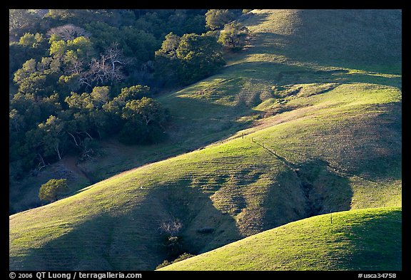 Hills and trees. California, USA