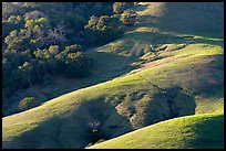 Hills and trees. California, USA (color)