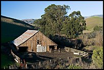 Barn and cattle-raising area. Morro Bay, USA ( color)