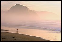 Couple and dog reflected in wet sand, with Morro Rock behind, sunset. Morro Bay, USA (color)