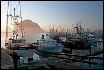 Harbor and Morro Rock, sunset. Morro Bay, USA (color)