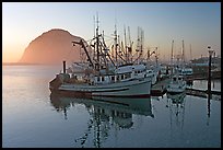 Fishing fleet and Morro Rock, sunset. Morro Bay, USA (color)