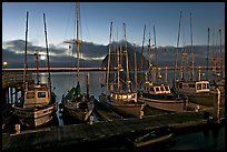 Fishing boats at dusk. Morro Bay, USA
