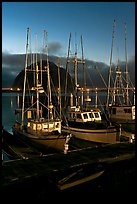 Lighted fishing boats and Morro Rock. Morro Bay, USA