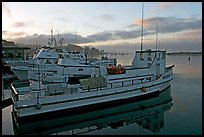 Harbor, sunrise. Morro Bay, USA